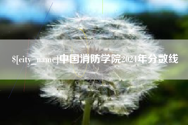 德宏中国消防学院2024年分数线
