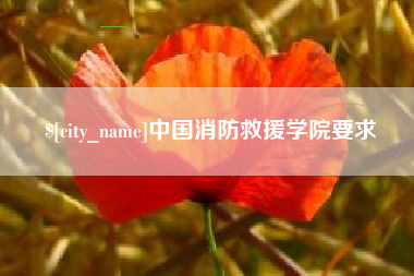 德宏中国消防救援学院要求