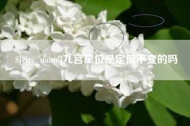 德宏九宫星位是定位不变的吗