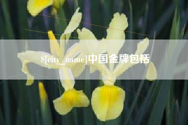 德宏中国金牌包括