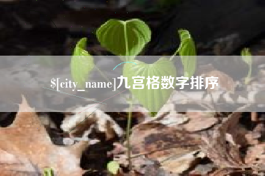 德宏九宫格数字排序