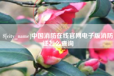 德宏中国消防在线官网电子版消防证怎么查询