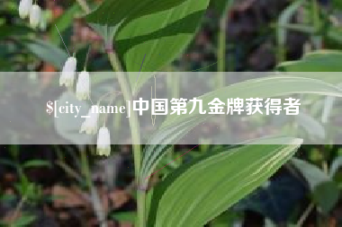 德宏中国第九金牌获得者