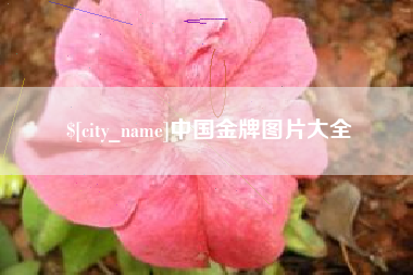 德宏中国金牌图片大全