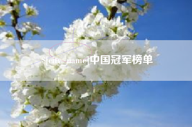 德宏中国冠军榜单