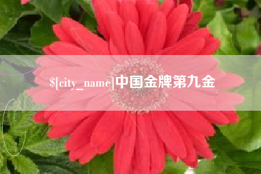 德宏中国金牌第九金