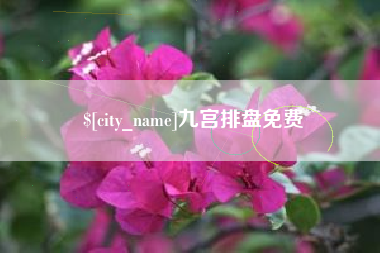 德宏九宫排盘免费