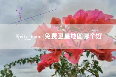 德宏免费卫星地图哪个好