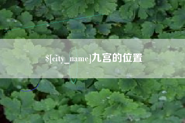 德宏九宫的位置