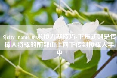 德宏60米接力赛技巧-下压式则是传棒人将棒的前部由上向下传到接棒人手中
