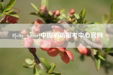 德宏中国消防报考中心官网