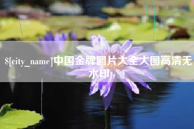 德宏中国金牌图片大全大图高清无水印