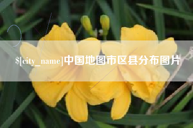 德宏中国地图市区县分布图片