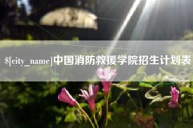 德宏中国消防救援学院招生计划表