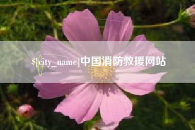德宏中国消防救援网站