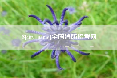 德宏全国消防招考网