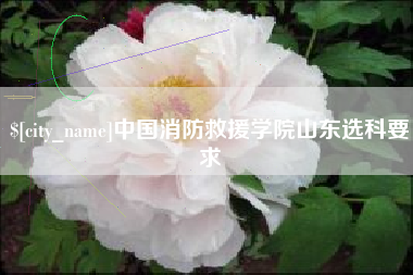 德宏中国消防救援学院山东选科要求