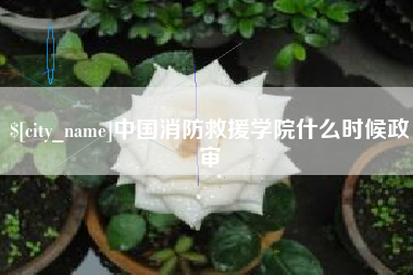 德宏中国消防救援学院什么时候政审