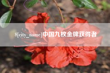 德宏中国九枚金牌获得者