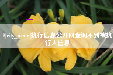 德宏执行信息公开网查询不到被执行人信息