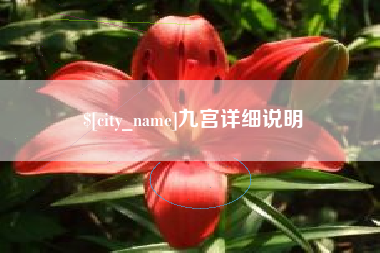 德宏九宫详细说明