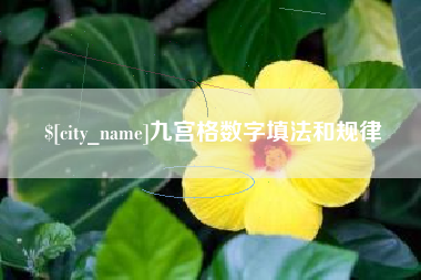 德宏九宫格数字填法和规律