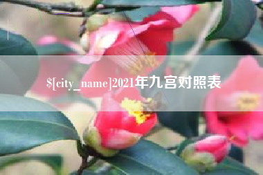 德宏2021年九宫对照表