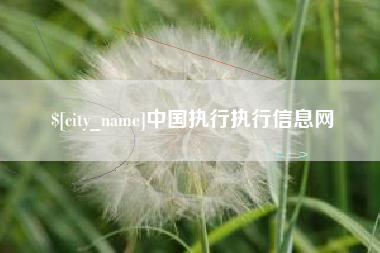 德宏中国执行执行信息网