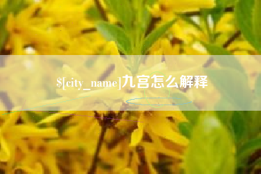 德宏九宫怎么解释