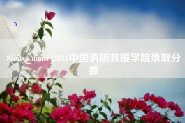 德宏2021中国消防救援学院录取分数