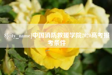 德宏中国消防救援学院2020高考报考条件