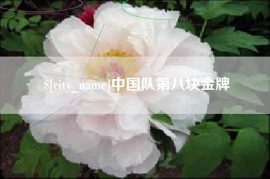 德宏中国队第八块金牌