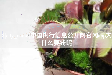 德宏中国执行信息公开网官网app为什么要钱呢