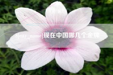 德宏现在中国哪几个金牌