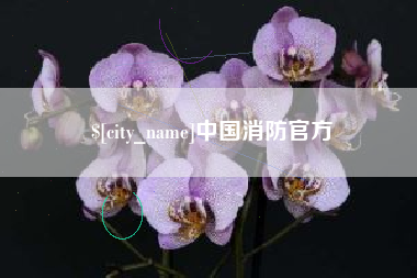 德宏中国消防官方
