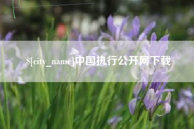 德宏中国执行公开网下载