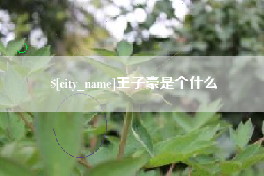 德宏王子豪是个什么