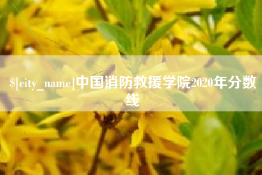 德宏中国消防救援学院2020年分数线