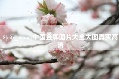 德宏中国金牌图片大全大图真实高清
