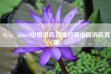 德宏中国消防直播回放中国消防直播