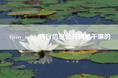 德宏执行信息公开网是干嘛的