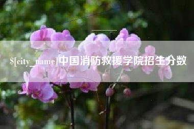 德宏中国消防救援学院招生分数