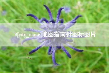 德宏地图指南针图标图片