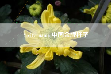 德宏中国金牌样子