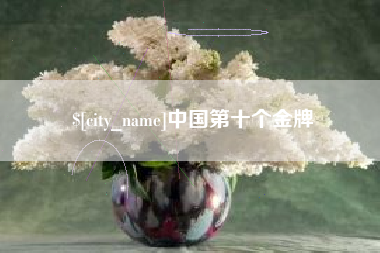 德宏中国第十个金牌