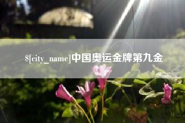 德宏中国奥运金牌第九金