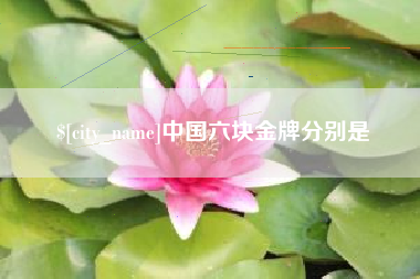 德宏中国六块金牌分别是