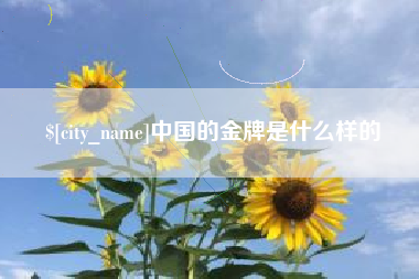 德宏中国的金牌是什么样的