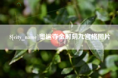德宏奥运夺金时刻九宫格图片