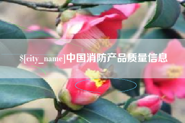 德宏中国消防产品质量信息